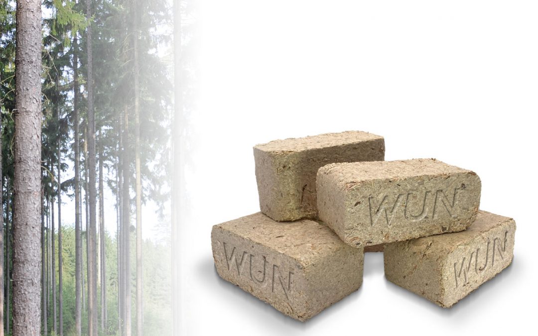 Holzbriketts – umweltbewusst und nachhaltig!