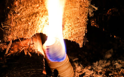 Anzünder – Der nachhaltige Start ins Feuer!