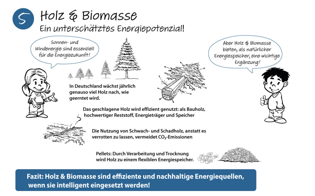 Holz & Biomasse – Ein unterschätztes Energiepotenzial!